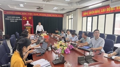 Tỉnh đoàn bàn giải pháp hỗ trợ vận hành chính quyền địa phương 2 cấp