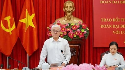 Đoàn đại biểu Quốc hội TP.HCM chia ra 15 nhóm đi tiếp xúc cử tri tại 80 điểm