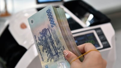 Какие стимулы получают коммерческие домохозяйства при преобразовании в предприятия?