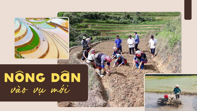 Nông dân vào vụ mới