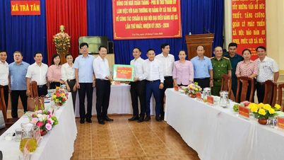 Đà Nẵng nghiên cứu cơ chế hỗ trợ cán bộ tăng cường đi làm việc tại vùng sâu, vùng xa
