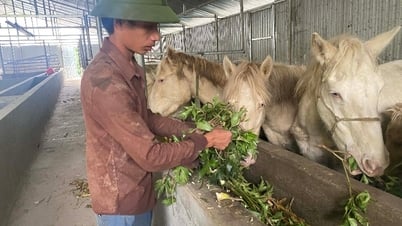 Hướng phát triển kinh tế mới