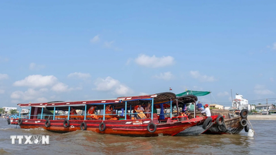 Du lịch Cần Thơ tăng tốc, hút du khách nhờ sản phẩm mới và không gian mở