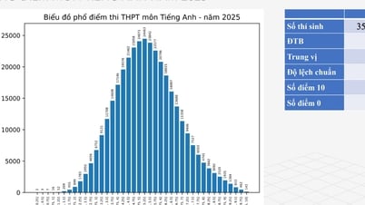 TP.HCM mất ngôi đầu bảng điểm thi tốt nghiệp THPT môn tiếng Anh sau 8 năm