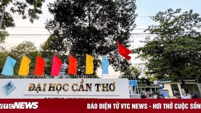 Nâng trường Đại học Cần Thơ lên thành Đại học