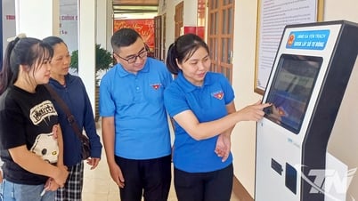 Sắc xanh 'cộng tác viên hành chính'