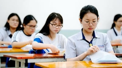 10 tỉnh thành có điểm thi môn tiếng Anh tốt nghiệp 2025 cao nhất