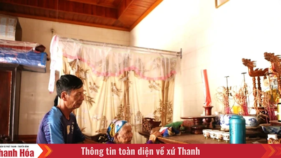 Ký ức của mẹ (Bài 3): 