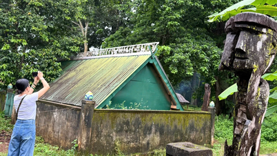 Thăm “rừng tượng” làng Kép 1