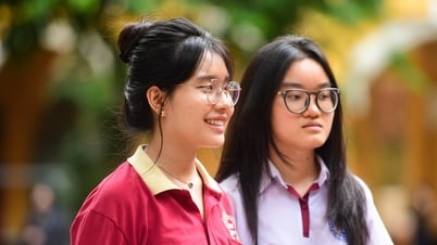 Phổ điểm môn Địa lý thi tốt nghiệp THPT năm 2025, có 6.907 điểm 10