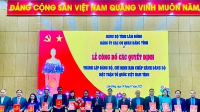 Lâm Đồng thành lập Đảng bộ MTTQ Việt Nam tỉnh