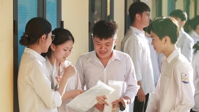 Điểm thi tốt nghiệp THPT 2025 tại Lâm Đồng: Link tra cứu chính xác nhất