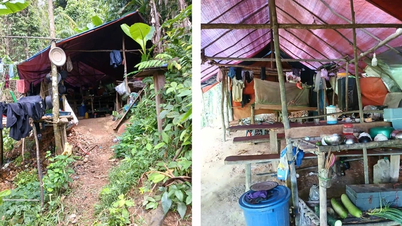 Tiếp tục phát hiện lán trại của “vàng tặc” tại rừng phòng hộ Quảng Trị