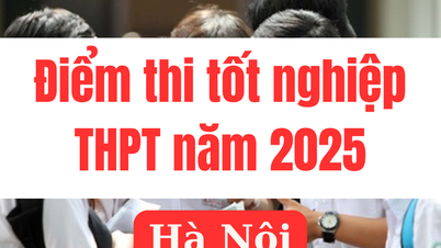 Điểm thi tốt nghiệp THPT 2025 tại Hà Nội: Link tra cứu chính xác nhất