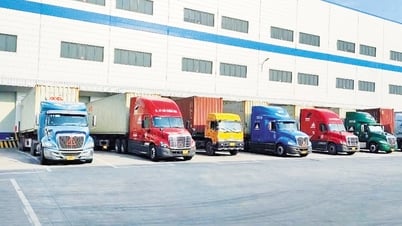 Doanh nghiệp tư nhân tận dụng cơ hội vàng
