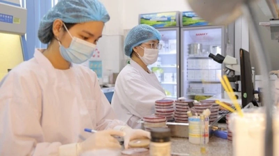 Hà Nội tăng cường công tác phòng, chống dịch bệnh trong dịp kỷ niệm 80 năm Cách mạng Tháng Tám và Quốc khánh 2/9