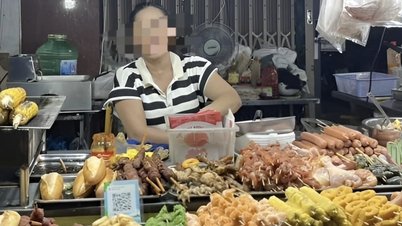 Da Nang street vendor owner charged a group of Lao tourists 760,000 VND for some grilled meat skewers and was invited to the police station.
