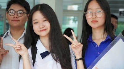 Lần đầu tiên Hà Nội lọt top hầu hết các bảng xếp hạng, Hà Tĩnh vẫn dẫn đầu