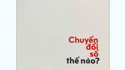 Bồi bổ nhận thức, hành động trong chuyển đổi số