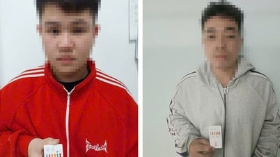 Tạm giam 2 người vận chuyển hơn 1 ký ma túy