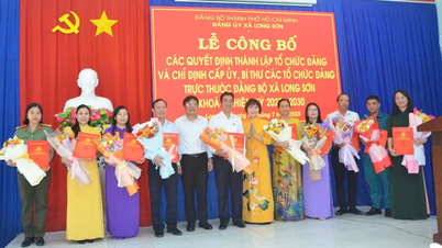 Xã Long Sơn (TPHCM) công bố quyết định thành lập tổ chức Đảng