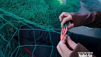 Những đôi tay chai sạn vá lành từng mắt lưới, giữ sinh kế cho ngư dân Nghệ An