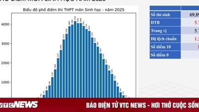 Bắc Ninh dẫn đầu cả nước điểm môn Sinh tốt nghiệp THPT 2025