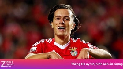 'Mỏ vàng' của bóng đá châu Âu