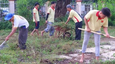 45 sinh viên Trường Đại học Nam Cần Thơ tham gia “Mùa hè xanh” tại Đắk Lắk
