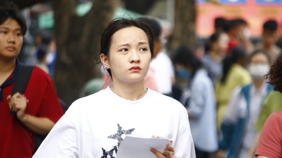 Hội nghị công bố phổ điểm thi tốt nghiệp THPT 2025: Môn tiếng Anh 'đẹp nhất'