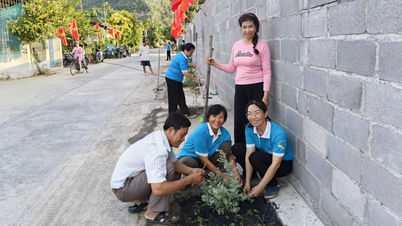 Chi hội Phụ nữ thôn Phước Lộc, phường Nam Nha Trang: Thực hiện công trình “Tuyến đường hoa” chào mừng Đại hội đại biểu Đảng bộ phường.