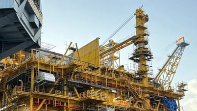 Mỏ Kình Ngư Trắng - Kình Ngư Trắng Nam đón dòng dầu thương mại đầu tiên