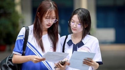 Thi tốt nghiệp THPT năm 2025: Thí sinh Hà Nội có nhiều điểm 10 môn Toán nhất toàn quốc