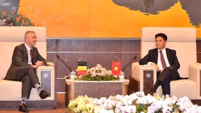 Hải Phòng đồng hành, tạo thuận lợi để các doanh nghiệp đầu tư bền vững, lâu dài