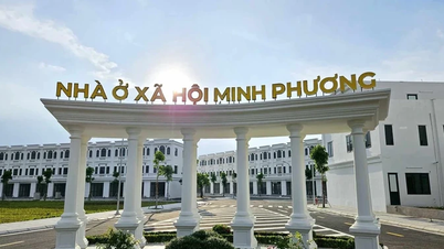 Chấp thuận dự án nhà ở xã hội cao tầng NO3 gần 600 tỷ đồng