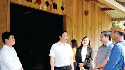 Tốc lực hoàn thành xóa nhà tạm