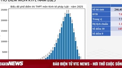 Phổ điểm môn Kinh tế pháp luật tốt nghiệp THPT 2025