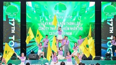 Cathay Life Việt Nam kỷ niệm 17 năm thành lập: Hành trình kiến tạo niềm tin và lan tỏa giá trị bền vững