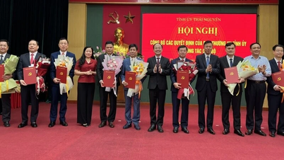 Thái Nguyên điều động, bổ nhiệm nhiều cán bộ lãnh đạo, quản lý