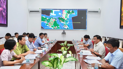 Rà soát lại các dự án trong Khu Kinh tế Vân Phong có liên quan đến đất rừng