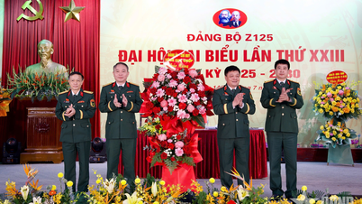 Đại hội Đảng bộ Nhà máy Z125 nhiệm kỳ 2025-2030 thành công tốt đẹp