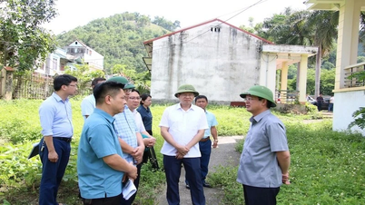 Thái Nguyên nỗ lực vì mục tiêu sớm ổn định hoạt động, đưa bộ máy vận hành hiệu lực, hiệu quả