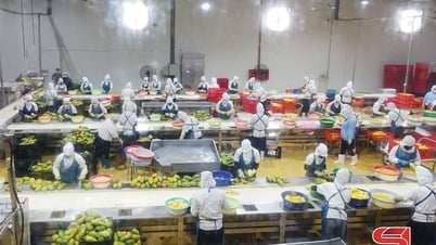 Đẩy mạnh liên kết, tiêu thụ sản phẩm