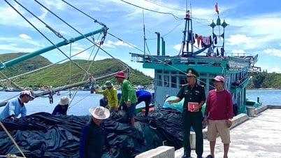 Chống khai thác IUU: Gia Lai cấm tàu cá không đủ điều kiện ra khơi