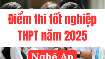 Điểm thi tốt nghiệp THPT 2025 tại Nghệ An: Link tra cứu chính xác nhất