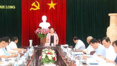 Thẩm định văn kiện Đại hội Đảng bộ các phường Long Châu, Thanh Đức và Phước Hậu