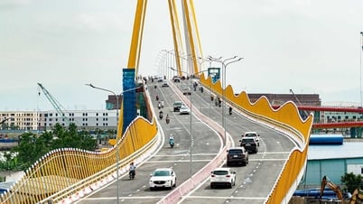 Thông xe cầu Hoàng Gia tại Hải Phòng
