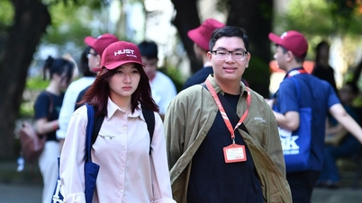 北部の学校の情報技術専攻の授業料は1,800万～9,000万ドンの範囲である。