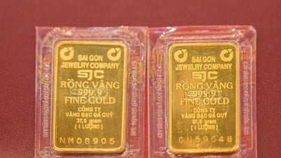 Giá vàng hôm nay 14/7/2025: Vàng miếng SJC và nhẫn gây bất ngờ lớn