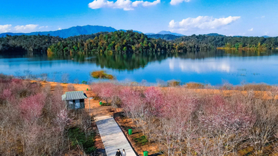 Tourisme au lac Pa Khoang, Dien Bien : un « paradis vert » dans les montagnes et les forêts du nord-ouest